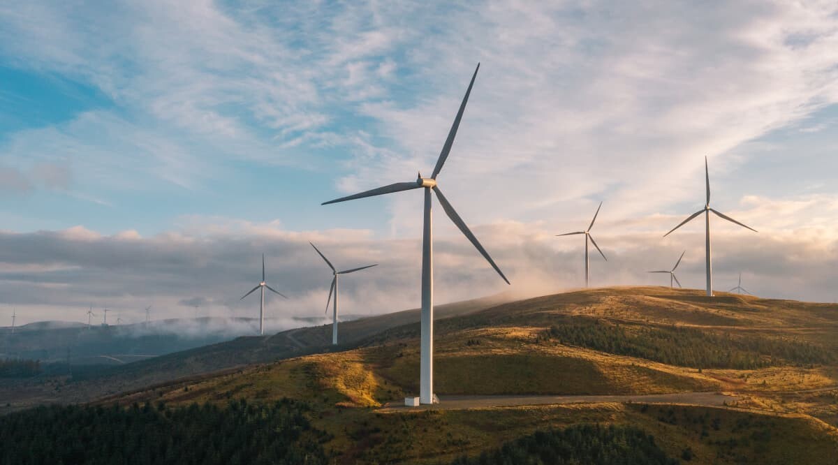 Maximierung des ROI bei Windenergieanlagen unter Berücksichtigung der Umwelt